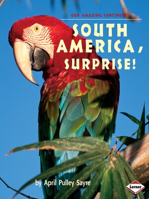 cover image of South America, Surprise!